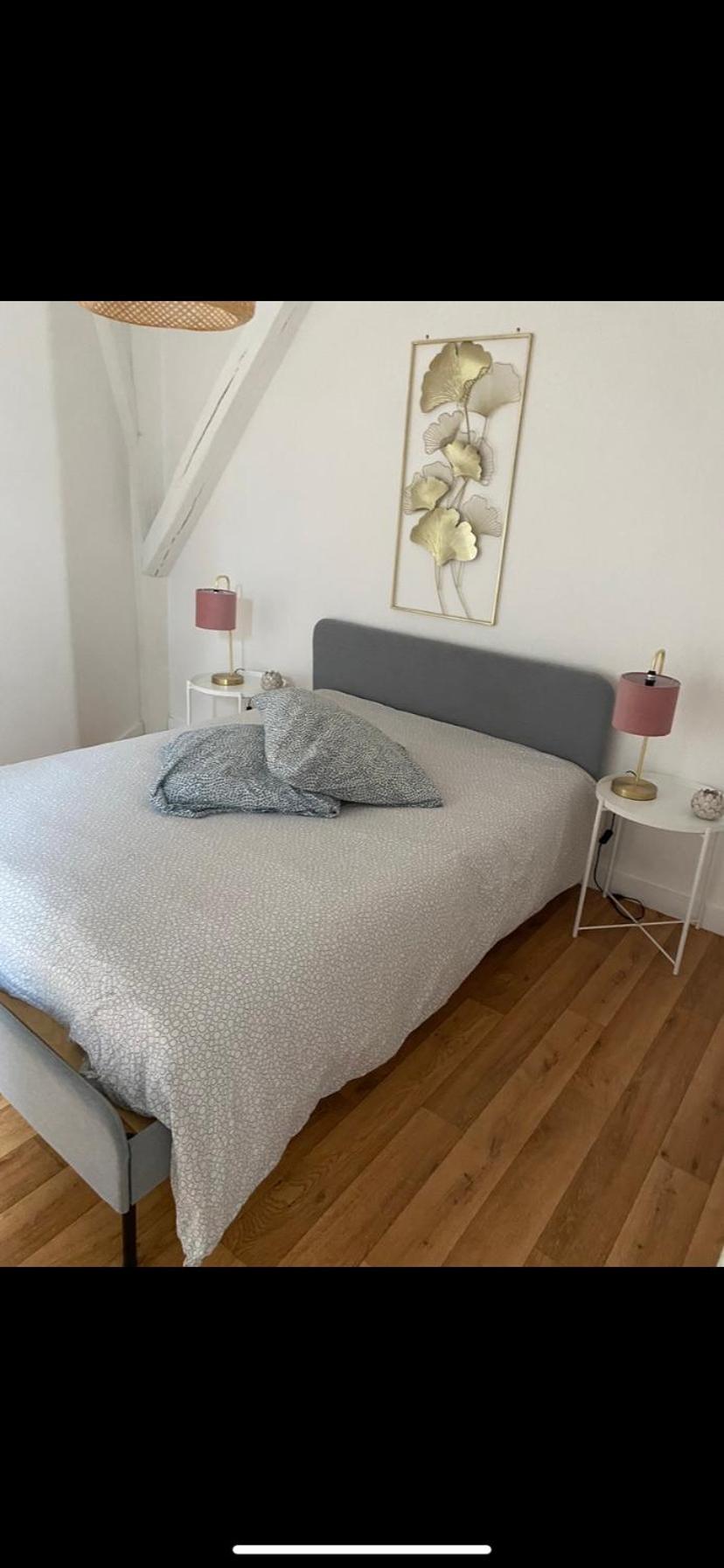 Magnifique Appartement Beaux Arts Tours Exteriér fotografie